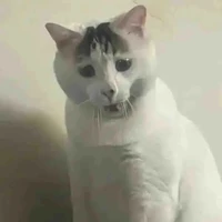 Hệ thống 419 [ Shu ]