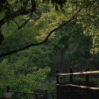 Mọi người