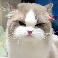 t/g 