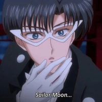 Chiba Mamoru/Tuxedu Mask/Endymion
