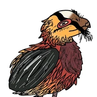 Kền kền râu (ĐÉO PHẢI ĐẠI BÀNG)