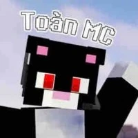 Toàn