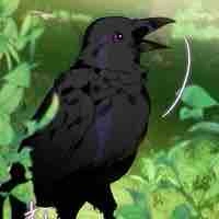 Quạ truyền tin