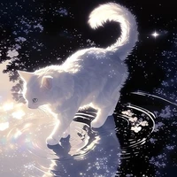 HT 2806_Nhược Giai