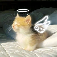 HT 1912_Tiếu Hoa Hoa