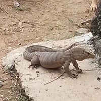 đồ vật
