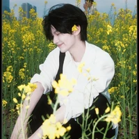 Kim Thái Quốc