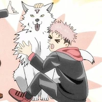 🍄_sói sói con_🐺