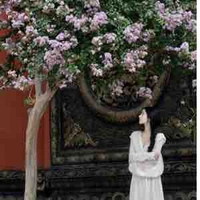 Nhã Tịnh 