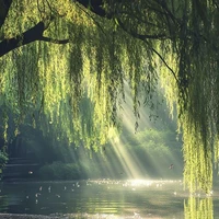 All trừ ai đó trừ