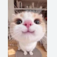 t/g đen bell ume bé đào