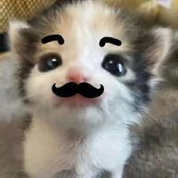 t/g đen bell ume bé đào