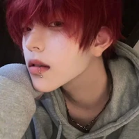 Hàn Tử Kỳ