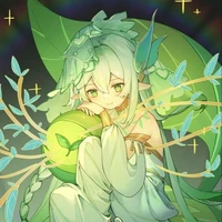 nahida/buer/kusanali