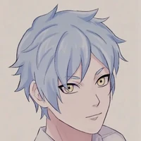 michiku akimichi 12t