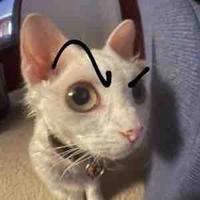 Bố chúng mày 🥵 (tao)