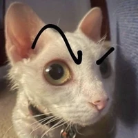 sinh ngoan iu cả nhà😍