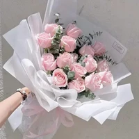 t/g đẹp gái bị lười