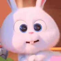 Snowball - t/g