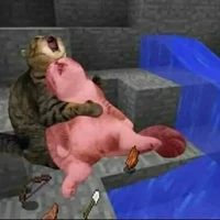 Thiên Ân & Thanh Dao