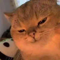 t/g