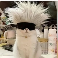 tg nè mấy ní
