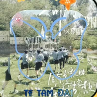 t/g tứ gia vô tri 