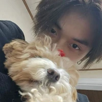 lương tâm chó gặm 