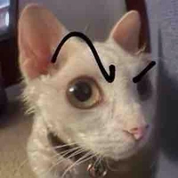 Cân hết tất cả nhân vật