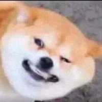 cẩu hệ thống 🤞👁👄👁💅