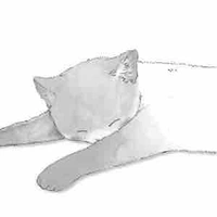 Hệ thống 022 - Nini