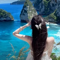 Tô Linh Đan_mẹ anh