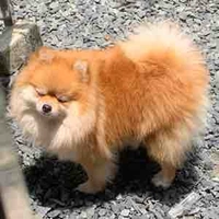 Tg có thù với cột sống 