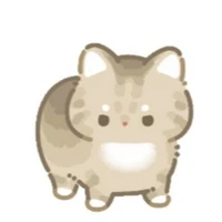 Hệ thống - ZingChi