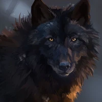 Black [ Harru ]