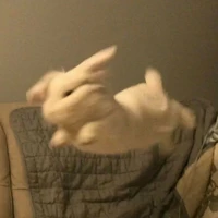 @_WeyL