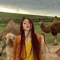 PHÍ QUỲNH ANH