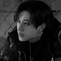 Christopher ( Bang Chan )