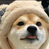   (Tiểu cồn ) hệ thống 310