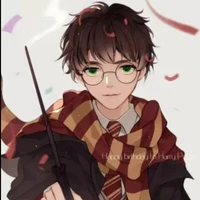 Harry James Potter
