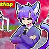 hiha catnap