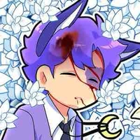 Hiha Catnap