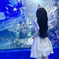 Kim ngân (matcha🍵)