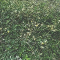 All