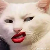{???}