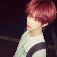 Trần dịch Hằng