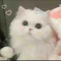 亗꧁ ST_Mina_lười ౨ৎ ꧂