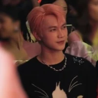 nguyễn thái sơn-jsol