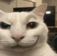 Toi