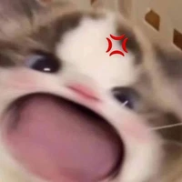 Toii là T/g